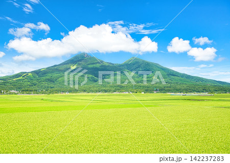 福島県耶麻郡猪苗代町 夏の磐梯山と田園風景 福島県耶麻郡猪苗代町 夏の磐梯山と田園風景 142237283