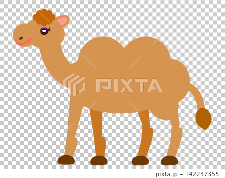 Camel illustration 142237355
