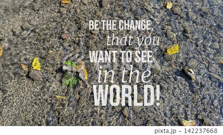 A top down view shows inspirational motivational quote text stating "BE THE CHANGE, that you WANT TO SEE in the WORLD" overlaid on clear shallow river water flowing over gravel, small stones with A top down view shows inspirational motivational quote text stating "BE THE CHANGE, that you WANT TO SEE in the WORLD" overlaid on clear shallow river water flowing over gravel, small stones with 142237668