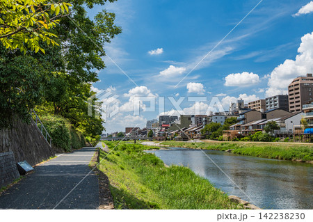 真夏の鴨川風景 京都市 真夏の鴨川風景 京都市 142238230