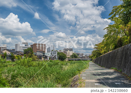 真夏の鴨川風景 京都市 真夏の鴨川風景 京都市 142238660