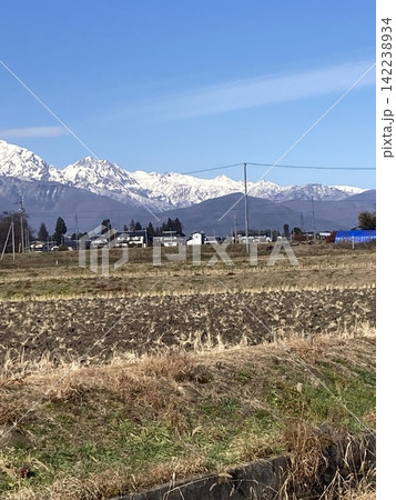 春の田んぼと残雪の残る立山 春の田んぼと残雪の残る立山 142238934