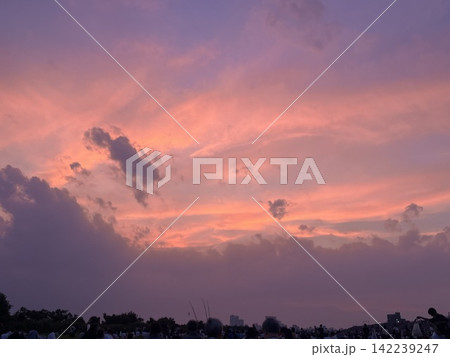 花火大会直前に見たピンクの空 花火大会直前に見たピンクの空 142239247