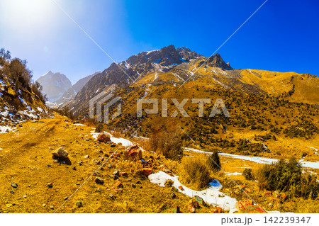 Golden Mountain Landscape with Snow Patches in Kyrgyzstan Golden Mountain Landscape with Snow Patches in Kyrgyzstan 142239347