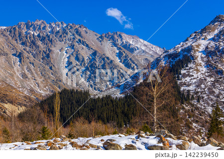 Majestic Mountain Range with Snow and Forest in Kyrgyzstan Majestic Mountain Range with Snow and Forest in Kyrgyzstan 142239450