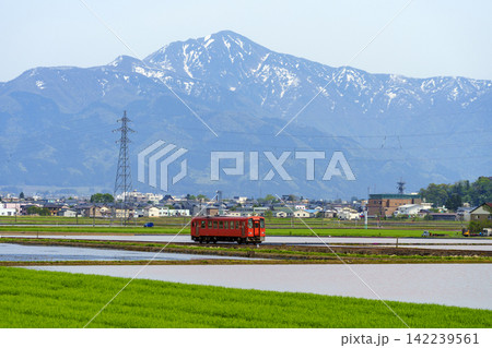 荒島岳と越美北線の列車 荒島岳と越美北線の列車 142239561