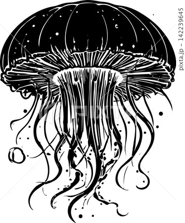 black graphic drawing of a large jellyfish on a white background, isolated element, decor black graphic drawing of a large jellyfish on a white background, isolated element, decor 142239645