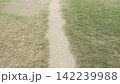 View of a narrow worn dirt foot trail running straight through a dry green grassy lawn perfect for park landscape concepts 142239988