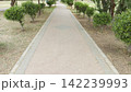 Wide shot of a long straight paved walking path bordered by trimmed small green trees in a peaceful outdoor public park area 142239993
