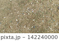 Top down view looking at dry dusty earth scattered with small tiny colorful pebbles and sparse patches of wild green grass 142240000