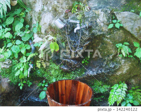 苔むした岩肌から流れる山の湧き水と木桶 142240122
