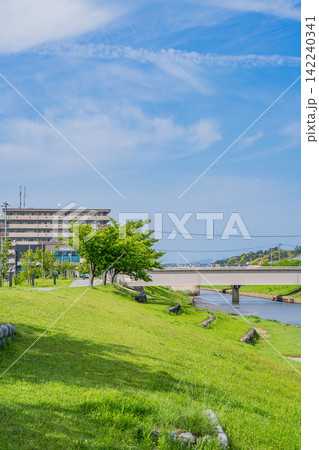 今之浦川沿いに見る磐田市の街並み(静岡県) 今之浦川沿いに見る磐田市の街並み(静岡県) 142240341