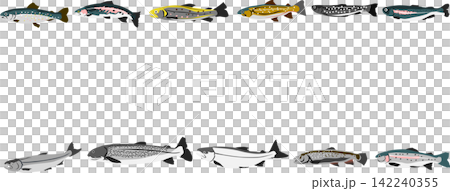 Fish frame illustration Fish frame illustration 142240355