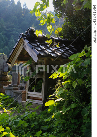 ツタに包まれる祠 ツタに包まれる祠 142241964