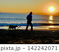 犬と波打ち際を散歩する夕暮れ 142242071