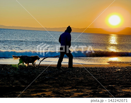 犬と波打ち際を散歩する夕暮れ 142242071