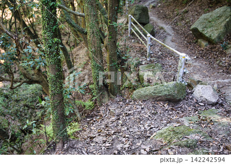 岩場を通る山林の遊歩道と手すり 岩場を通る山林の遊歩道と手すり 142242594