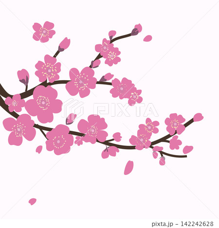 Blooming branch of tree plum, flat vector isolated illustration, element, korean, chinese scene Blooming branch of tree plum, flat vector isolated illustration, element, korean, chinese scene 142242628