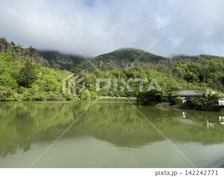 初夏、池の向こうの山間に見える神社 初夏、池の向こうの山間に見える神社 142242771