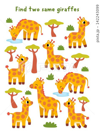 Find two same giraffes. Safari animals matching activity for children. African savanna educational quiz worksheet for kids for attention skills. Savannah printable game with cute animal, acacia trees Find two same giraffes. Safari animals matching activity for children. African savanna educational quiz worksheet for kids for attention skills. Savannah printable game with cute animal, acacia trees 142243099