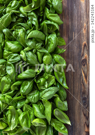 Fresh Basil on Wooden Table. Fresh Basil on Wooden Table. 142243164