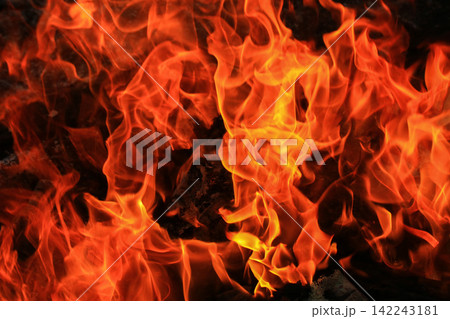 Vibrant Red and Orange Fire Flames Blaze Isolated on Black Background Vibrant Red and Orange Fire Flames Blaze Isolated on Black Background 142243181