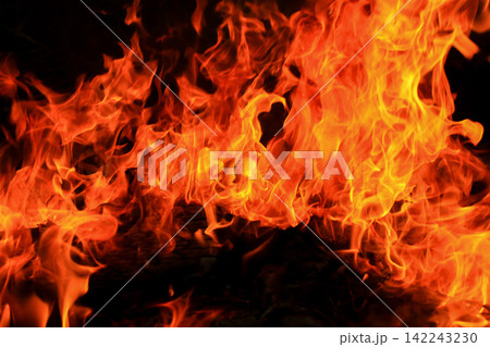 Vibrant Red and Orange Fire Flames Blaze Isolated on Black Background Vibrant Red and Orange Fire Flames Blaze Isolated on Black Background 142243230