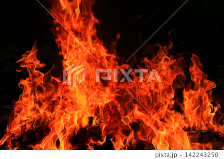 Vibrant Red and Orange Fire Flames Blaze Isolated on Black Background Vibrant Red and Orange Fire Flames Blaze Isolated on Black Background 142243250