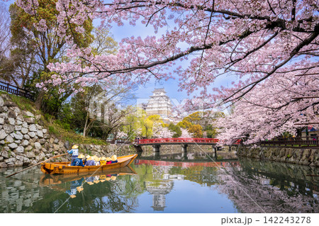 満開の桜と姫路城 満開の桜と姫路城 142243278