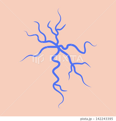 Blue spider veins anatomy 142243395
