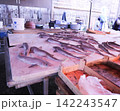 パレルモの魚市場のサメ 142243547