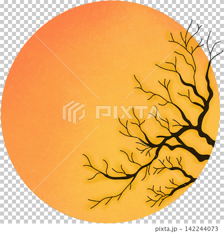 moon branch silhouette 142244073