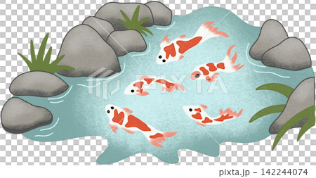 carp fish pond 142244074