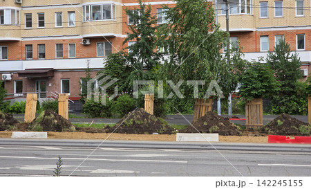 Young trees in protective wooden crates planted on a street near an urban residential multi-story building. Young trees in protective wooden crates planted on a street near an urban residential multi-story building. 142245155