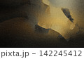 Abstract Grainy Golden and Dark Bronze Texture Background with Elegant Bright Spotlight 142245412