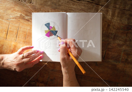 Hands of a woman holding an orange pencil pointing at a colorful pie chart in an open notebook on a wooden table with natural light illuminating the scene Hands of a woman holding an orange pencil pointing at a colorful pie chart in an open notebook on a wooden table with natural light illuminating the scene 142245540
