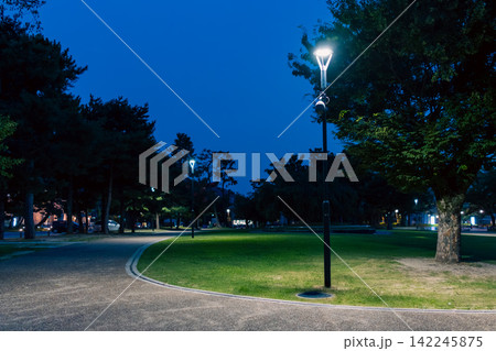 夕暮れの公園を照らす街灯と青い空 142245875