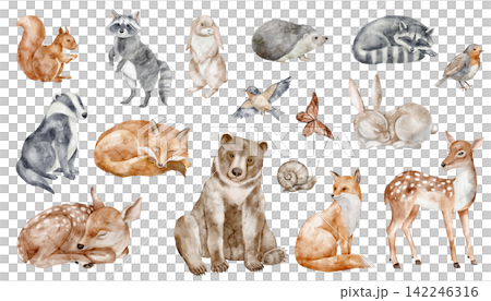 Animals watercolor illustration set. Woodland art with birds and insects isolated on background. Autumn forest clipart with fox, deer, rabbit, squirrel, raccoon, bear for baby nursery wall stickers. Animals watercolor illustration set. Woodland art with birds and insects isolated on background. Autumn forest clipart with fox, deer, rabbit, squirrel, raccoon, bear for baby nursery wall stickers. 142246316