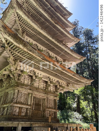国宝に指定された国宝瑠璃光寺五重塔 142246496