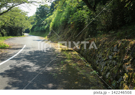愛媛県大洲市 冨士山公園の風景 愛媛県大洲市 冨士山公園の風景 142246508