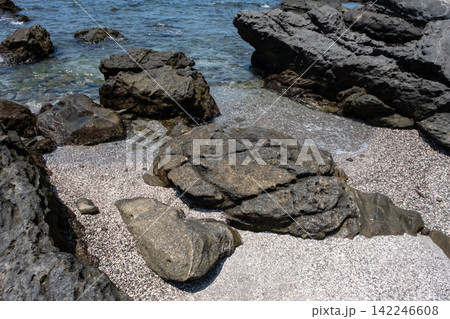 神奈川県城ヶ島 磯の波打ち際 神奈川県城ヶ島 磯の波打ち際 142246608