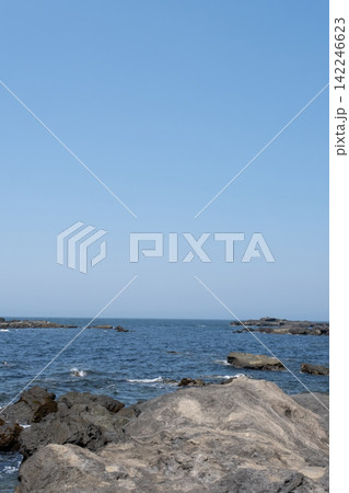 神奈川県三浦市の城ヶ島海岸の磯の風景 神奈川県三浦市の城ヶ島海岸の磯の風景 142246623