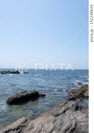 神奈川県三浦市の城ヶ島海岸の磯の風景 神奈川県三浦市の城ヶ島海岸の磯の風景 142246626