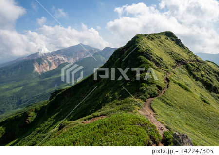 山へ続く道 山へ続く道 142247305