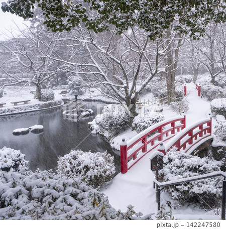 打吹公園の雪景色 打吹公園の雪景色 142247580