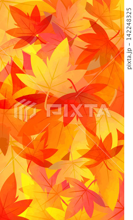 落ちた紅葉のイラスト 銀杏 もみじ 落ちた紅葉のイラスト 銀杏 もみじ 142248325