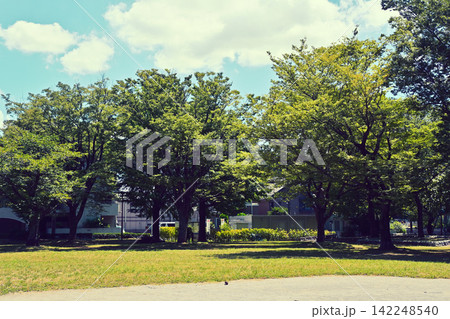 公園緑地 本町公園 千葉市 公園緑地 本町公園 千葉市 142248540