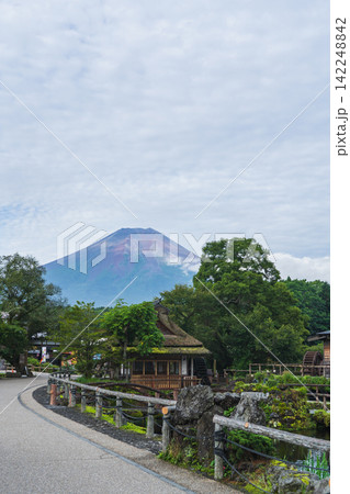 【山梨県】夏の富士山と忍野八海 142248842