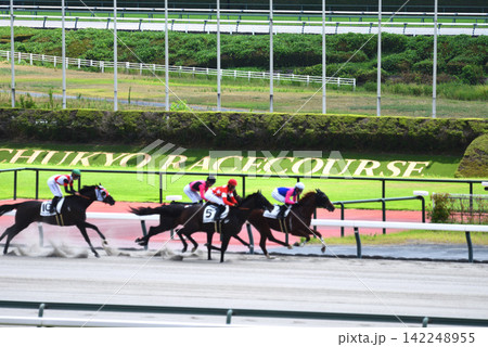 酷暑の中京ダート競馬 酷暑の中京ダート競馬 142248955
