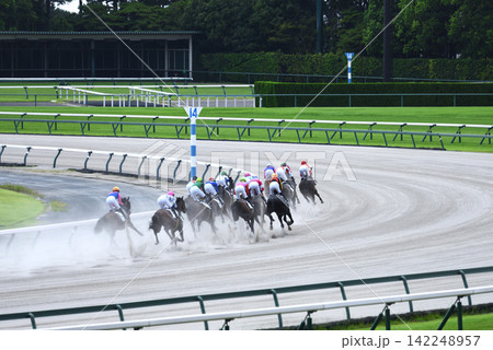 酷暑の中京ダート競馬 酷暑の中京ダート競馬 142248957